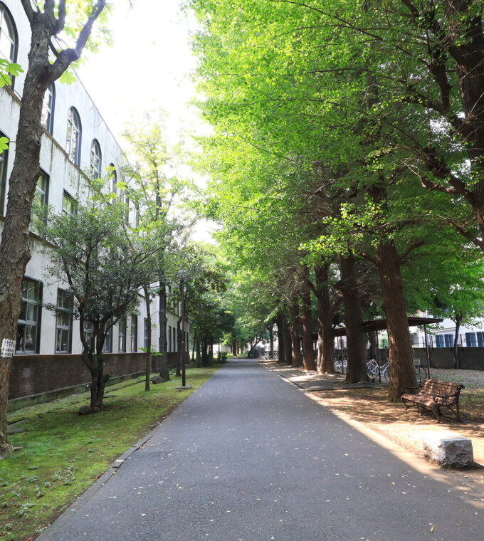 東京 学芸 大学 附属 高校