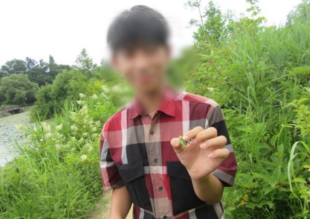 センター外のいもり池で、世田谷では出会えない、植物や昆虫に胸を躍らせます。