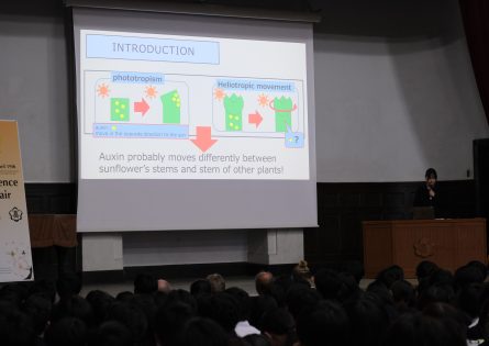 Science Fair　口頭発表の様子２