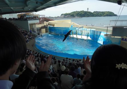 2年遠足　江ノ島水族館